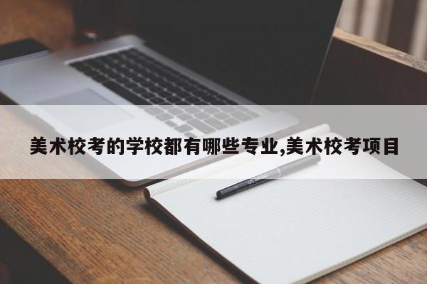 美术校考的学校都有哪些专业,美术校考项目